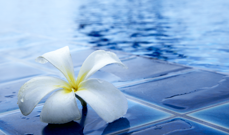 Pool Maintenance